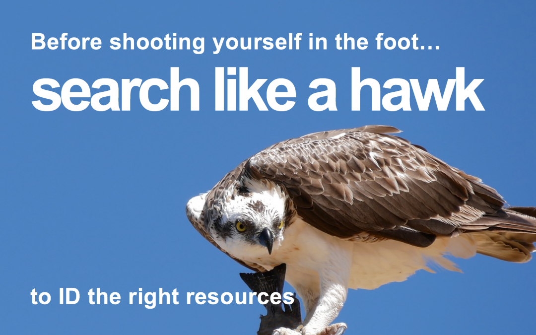 Search Like a Hawk